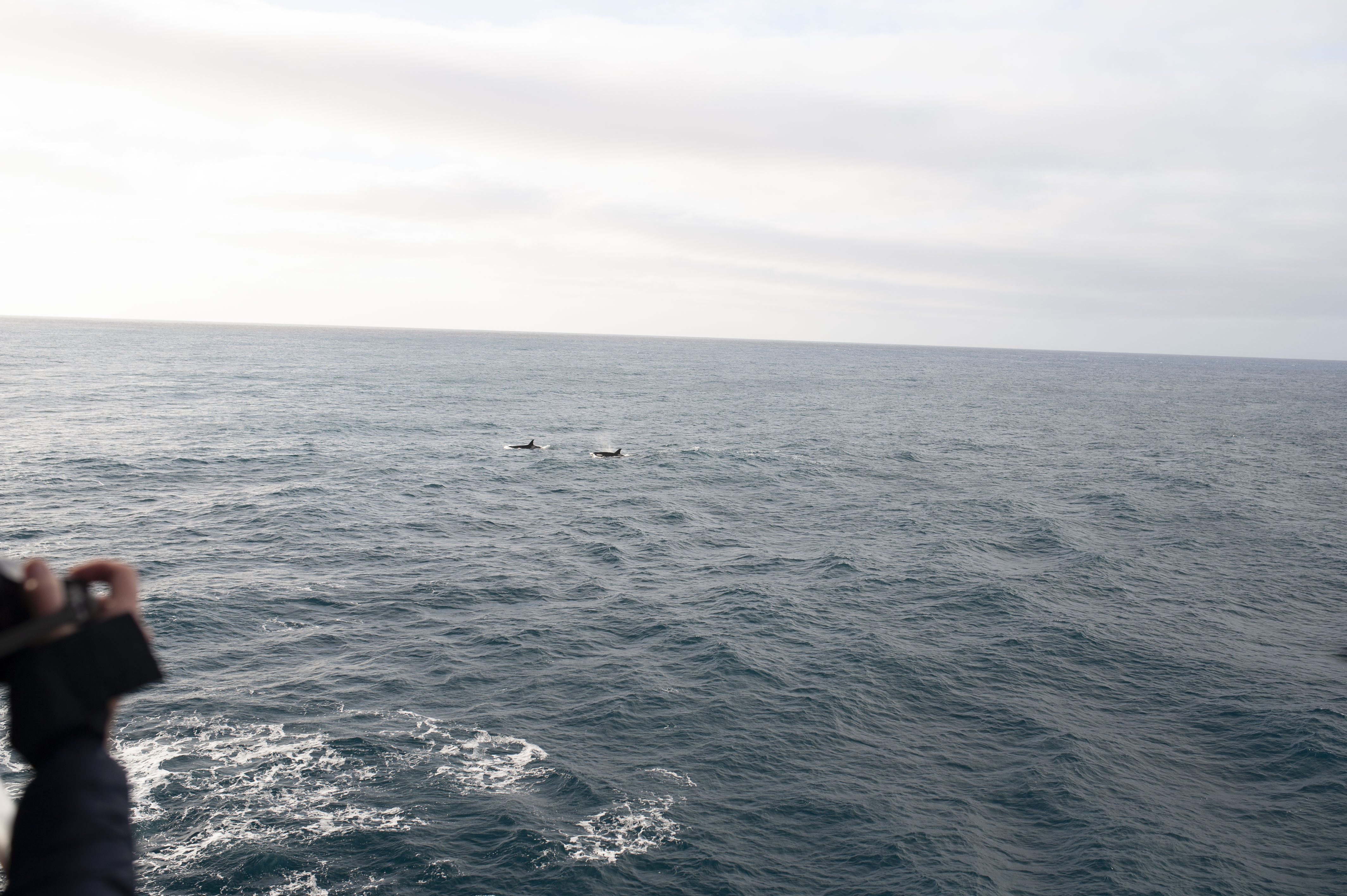 GYT 20220701 125344  DSC6235